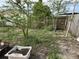 Backyard featuring a grass lawn, wooden fence, and several trees, one with fruit at 5151 Janice Ln, Holiday, FL 34690