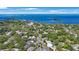 Scenic aerial view of a waterfront community with lush greenery and stunning bay views at 597 Bay St, Palm Harbor, FL 34683