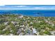 Stunning aerial view of a coastal community with lush greenery and breathtaking ocean views at 597 Bay St, Palm Harbor, FL 34683