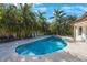 Private backyard pool surrounded by lush tropical landscaping, lounge chairs, and a hot tub at 597 Bay St, Palm Harbor, FL 34683