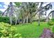 Expansive backyard featuring mature trees and lush green lawn at 6112 Ibispark Dr, Lithia, FL 33547