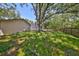 Spacious yard featuring a screened-in pool enclosure, surrounded by mature trees and lush greenery at 940 Woodland Dr, Palm Harbor, FL 34683