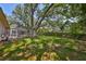 Large backyard with mature trees, green grass, and a screened-in pool area, offering privacy and space at 940 Woodland Dr, Palm Harbor, FL 34683