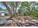 Well-maintained front yard, showcasing mature trees, landscaped features, and a welcoming single-Gathering home at 940 Woodland Dr, Palm Harbor, FL 34683