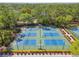An overhead shot showcasing the community pickleball courts, surrounded by trees at 10011 Parley Dr, Tampa, FL 33626