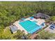 Aerial view of the community pool, offering relaxation and recreation amid lush surroundings at 10011 Parley Dr, Tampa, FL 33626
