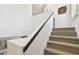 Carpeted stairway featuring neutral walls and a simple dark wood handrail at 10011 Parley Dr, Tampa, FL 33626