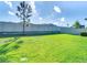 Lush backyard with a green lawn, bordered by a white fence and mature trees, creating a private outdoor space at 10978 Laxer Cay Loop, San Antonio, FL 33576