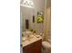 Bathroom with a sink and mirror with a tub and toilet at 11468 Captiva Kay Dr, Riverview, FL 33569