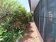 Screened patio with a view of a beautiful green yard at 1395 Heather Ridge Blvd, Dunedin, FL 34698