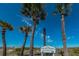 Scenic view of palm trees lining the Gulf Way Walkway, creating a tropical ambiance under a clear blue sky at 1700 Pass A Grille Way # 9, St Pete Beach, FL 33706