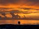 Picturesque ocean view featuring a golden sunset and a couple on the beach rocks at 1700 Pass A Grille Way # 9, St Pete Beach, FL 33706