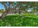 Scenic view of a green park with a large tree, lawn, and bench at 1700 Pass A Grille Way # 9, St Pete Beach, FL 33706