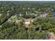 Aerial view of the home surrounded by lush trees and greenery, property line outlined in red for clarity at 17111 Mockingbird Ln, Lutz, FL 33548