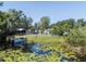 Scenic backyard of a charming home, complete with waterfront access and a serene pond filled with lily pads at 17111 Mockingbird Ln, Lutz, FL 33548