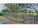 Community cricket pitch with protective netting surrounded by mature trees at 17537 Fairmeadow Dr, Tampa, FL 33647