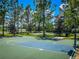 Well-maintained basketball court surrounded by mature trees, providing a great recreational amenity for residents at 19278 Roseate Dr, Lutz, FL 33558