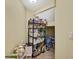 Well-organized pantry with shelves stocked with groceries, drinks, and home supplies at 19796 Long Lake Ranch Blvd, Lutz, FL 33558