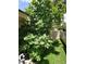 Yard area with mature trees and green lawn, providing a serene outdoor space at 2172 Harbor View Dr, Dunedin, FL 34698