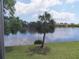 Lovely water view from the back porch, featuring a palm tree and blue skies with fluffy white clouds at 224 Cypress Ln # 224, Oldsmar, FL 34677