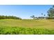 Scenic golf course view featuring manicured green lawns, blue sky, and palm trees at 2614 Cove Cay Dr # 207, Clearwater, FL 33760