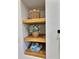 Open bathroom shelves feature decorative woven baskets, green plants and plush blue towels at 2869 Thistle N Ct, Palm Harbor, FL 34684