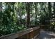 Wooden walking path surrounded by lush trees at 2869 Thistle N Ct, Palm Harbor, FL 34684