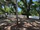 Large backyard shaded by mature trees and enclosed by a white privacy fence at 3924 Orchard Hill Cir, Palm Harbor, FL 34684
