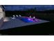 Night view of the custom pool area with dramatic uplighting on the plantings and pool at 6326 Waves End Pl, Apollo Beach, FL 33572