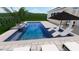 Beautiful pool and backyard lounging area featuring palm trees, umbrella and in-pool lounge chairs at 6326 Waves End Pl, Apollo Beach, FL 33572