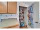 Well-stocked pantry featuring wire shelving and a hanging organizer for snacks and drinks at 8528 Fantasia Park Way, Riverview, FL 33578