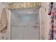 Shower with frosted glass doors and floral valance at 8528 Fantasia Park Way, Riverview, FL 33578