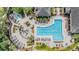 A pristine community pool with lounge chairs, hot tub, and tropical landscaping offers a resort-style experience at 10103 Courtney Oaks Cir # 103, Tampa, FL 33619