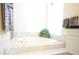 Bright bathroom features a soaking tub with marble tile surround, accented by a green potted plant at 1311 Fallsmeade Ct, Oldsmar, FL 34677