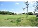 Scenic view of the golf course offering a tranquil and picturesque setting for residents at 1311 Fallsmeade Ct, Oldsmar, FL 34677