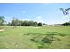 Picturesque golf course view from the property, featuring lush green fairways and scenic landscapes at 1311 Fallsmeade Ct, Oldsmar, FL 34677