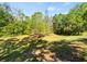 Secluded backyard with lush greenery, trees, and sun-drenched grass at 15254 Bellamy Rd, Tampa, FL 33625