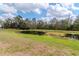 Scenic view of a tranquil pond surrounded by lush greenery and mature trees, creating a peaceful backyard oasis at 15939 Fishhawk View Dr, Lithia, FL 33547