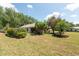 View of lawn featuring mature trees, and lush tropical landscaping at 1616 Laughton Pl, Sun City Center, FL 33573