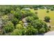 Aerial view of a home nestled among mature trees, showcasing the property's lush landscape and inviting ambiance at 1691 Ridge Top Dr, Tarpon Springs, FL 34688