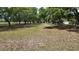 Lush green land with scattered trees and a white perimeter fence at 1691 Ridge Top Dr, Tarpon Springs, FL 34688