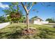 Well-maintained front yard featuring a tree and landscaping at 208 Ne Lincoln N Cir, St Petersburg, FL 33702
