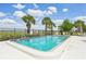 Community pool with palm trees and clear blue sky above at 2427 Twin Dr # 2, Sarasota, FL 34234