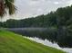 Scenic view of a peaceful pond with lush green surroundings and some mist rising from the water at 2679 Saddlewood Ln, Palm Harbor, FL 34685