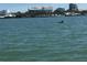 Dolphin in the water with views of the waterfront residences at 2679 Saddlewood Ln, Palm Harbor, FL 34685