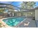Screened-in backyard pool with clear blue water, surrounded by a paved deck and lush landscaping at 321 Shore E Dr, Oldsmar, FL 34677