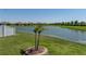 Scenic backyard view of a pond, lush green grass, and one small palm tree at 34135 White Fountain Ct, Wesley Chapel, FL 33545