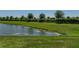 Scenic view of a pond and green shoreline with trimmed bushes in the background at 34135 White Fountain Ct, Wesley Chapel, FL 33545