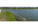 Scenic view of a pond and green shoreline with homes in the background at 34135 White Fountain Ct, Wesley Chapel, FL 33545