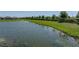 Scenic view of a pond and green shoreline with a tree line in the background at 34135 White Fountain Ct, Wesley Chapel, FL 33545